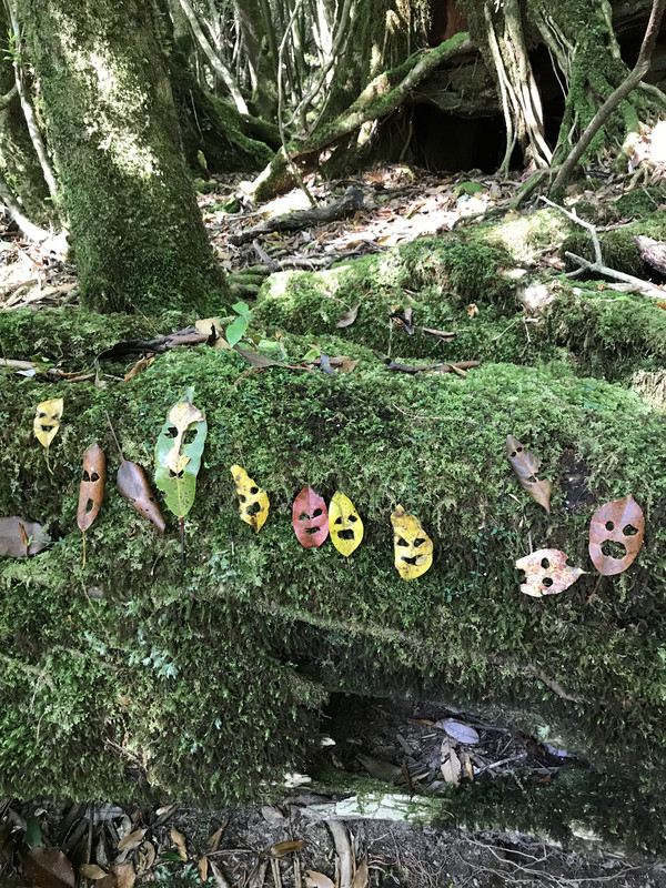 C11b867347dc476fa26c96df4f05858f