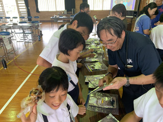 Img_0783 Img_0783
