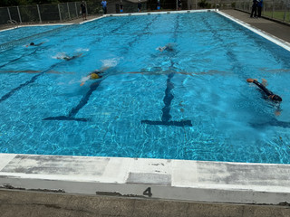 Img_1089 Img_1089